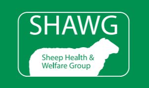 SHAWG. Sheep Health &.